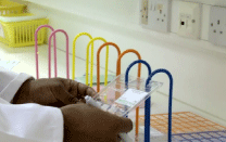 Nursing & Residential Homes